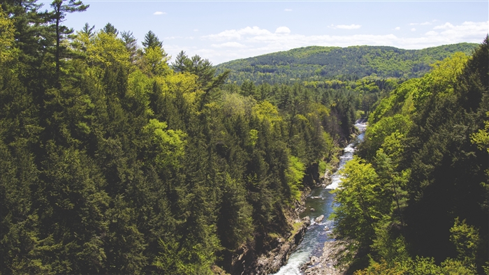 River flowing through a forested mountain landscape