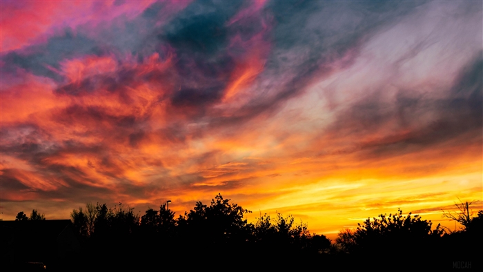 Colorful sunset sky over silhouetted trees 4K