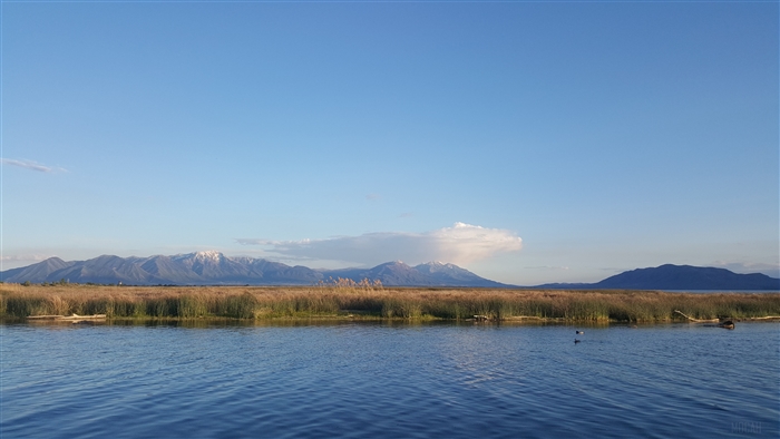 Lake with Mountains and Reeds in Utah, USA 4K
