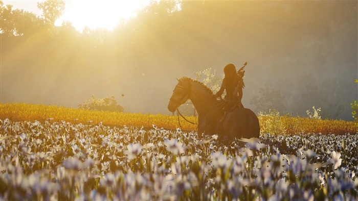 Assassin's Creed Odyssey 4K fields
