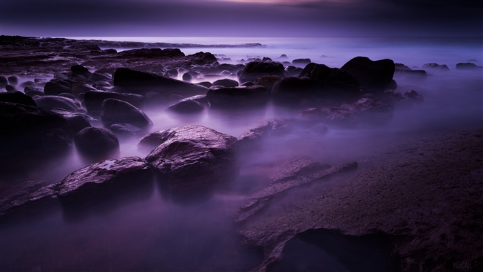 Purple Foggy Shore with Stones 4K