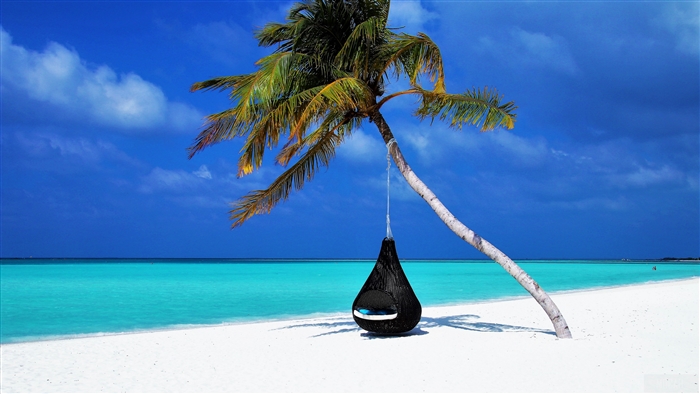 Hanging chair under a palm tree on a tropical beach