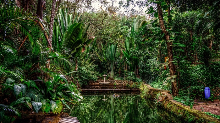 Tranquil lagoon surrounded by lush greenery in Brazil