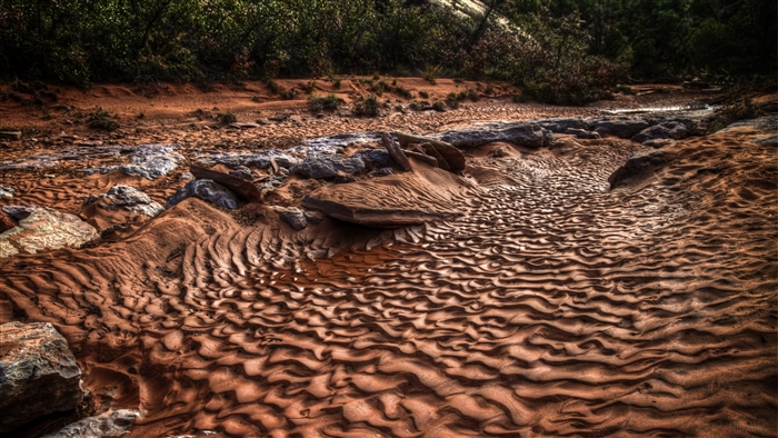 Sand ripples in a dry riverbed with rocks and vegetation