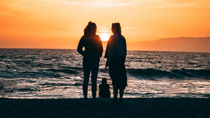 Family silhouettes on the shore at sunset 4K