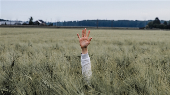 Hand waving from a field of grass