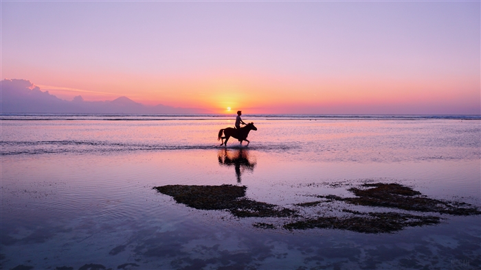Man riding a horse on a beach at sunset, Indonesia 4K