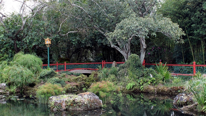 Chinese garden with bridge and pond