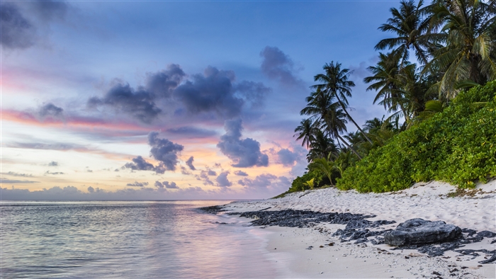 Beach with palm trees and ocean at sunset 4K