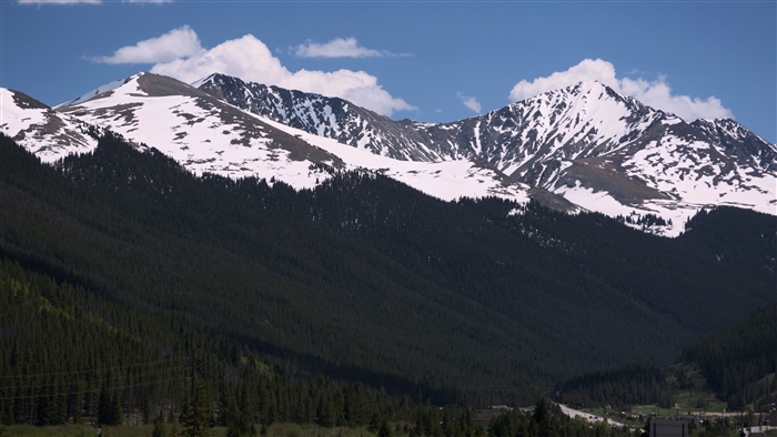 Snow-capped mountains and evergreen forest under blue sky