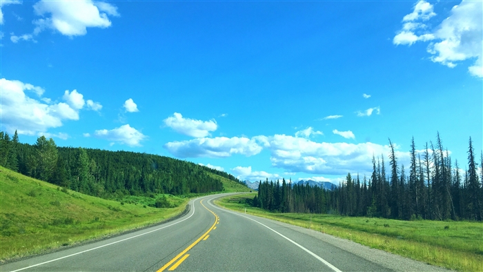 Road with markings and turn 4K