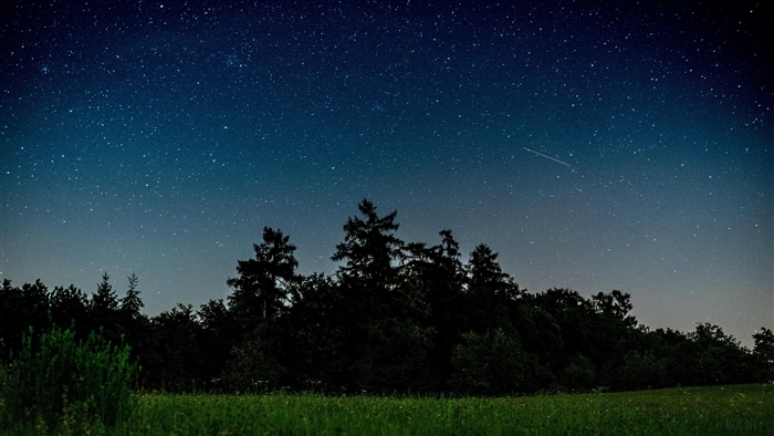 Starry night sky over a forest and field