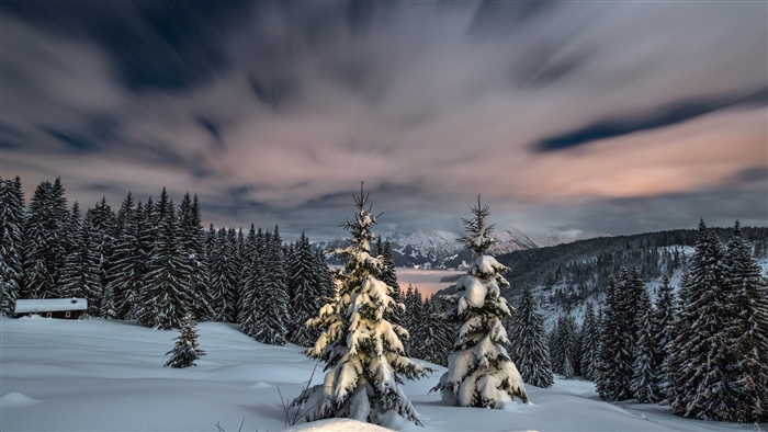 Winter sunset over snowy fir trees and mountains 4K