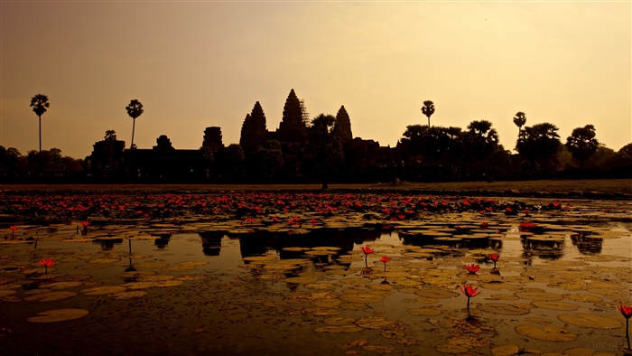 Angkor Wat temple complex with lotus pond in Cambodia