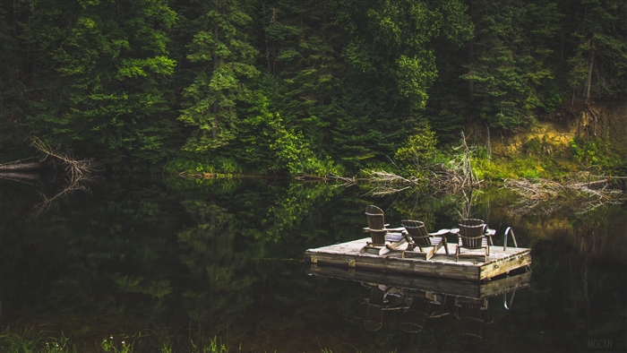 Wooden raft with chairs on a calm lake surrounded by trees