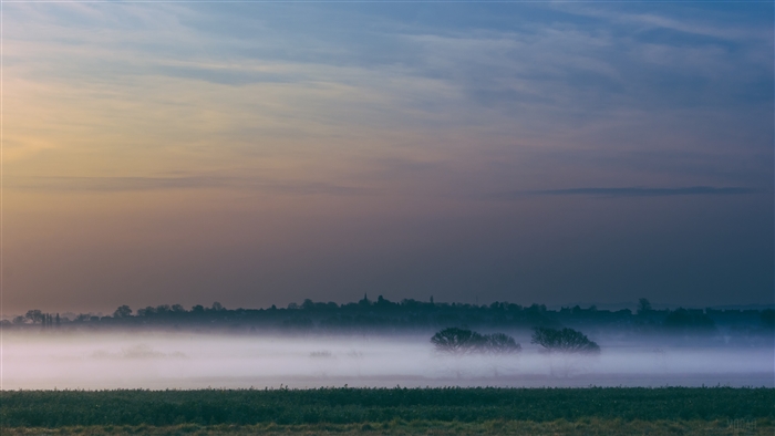 Foggy field at sunrise with trees and sky 4K