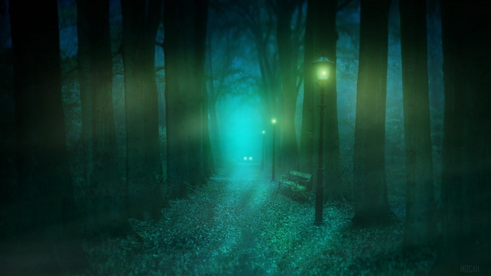 Mystical park path with fog and lanterns 4K