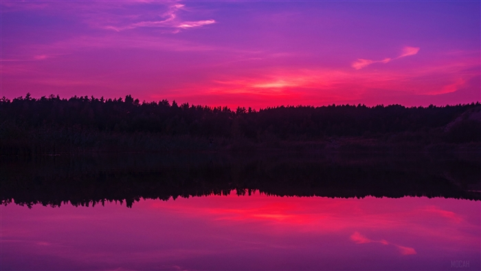 Purple sunset over a forest and lake