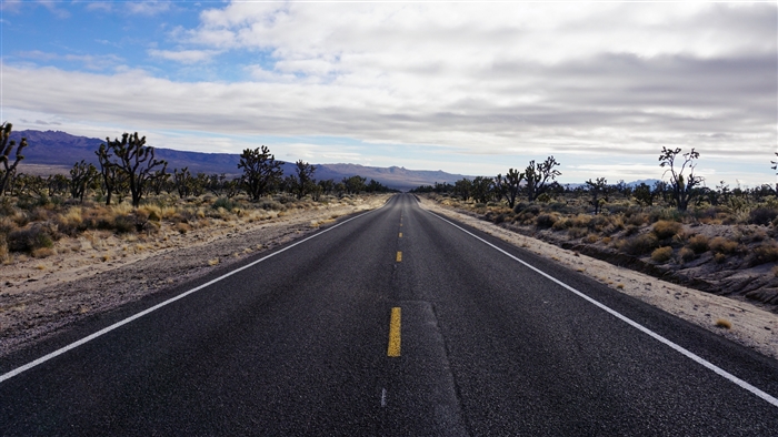 Desert Road with Joshua Trees and Mountains 4K