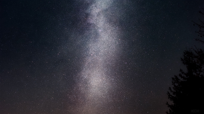 Milky Way galaxy over a dark forest