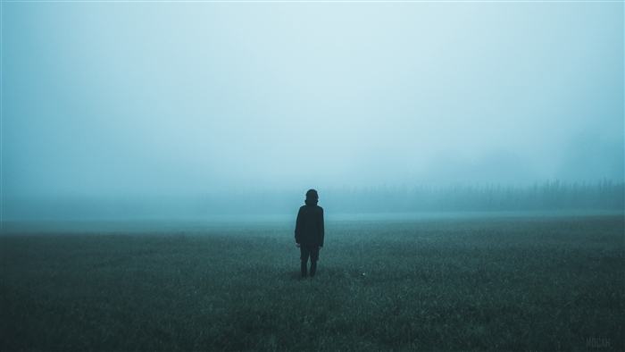 Man in fog on field 4K