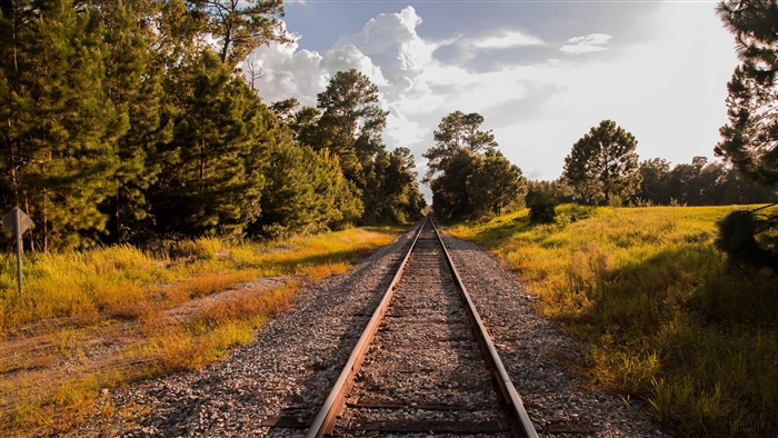 Railway tracks through a forest and field in summer 4K