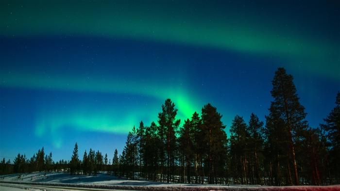 Aurora Borealis over Lapland forest 4K