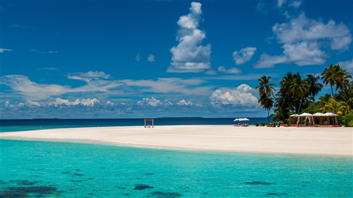 Maldives Tropical Beach 4K