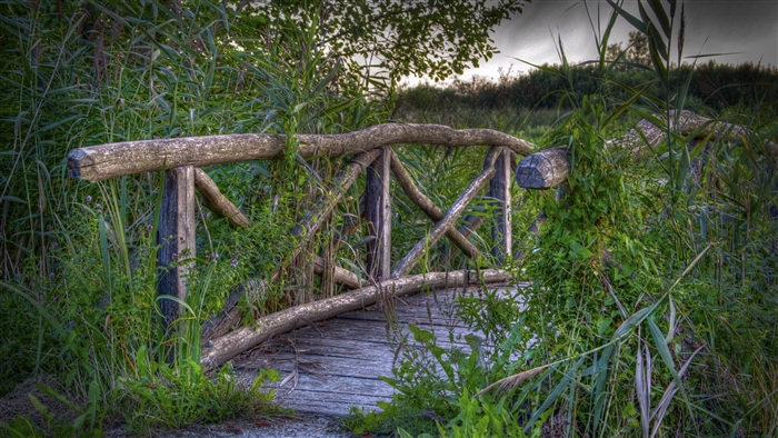 Wooden bridge overgrown with plants