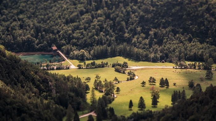 Valley with Reservoir and Forest
