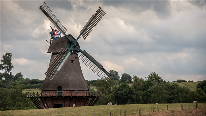 Windmill in a field with sheep