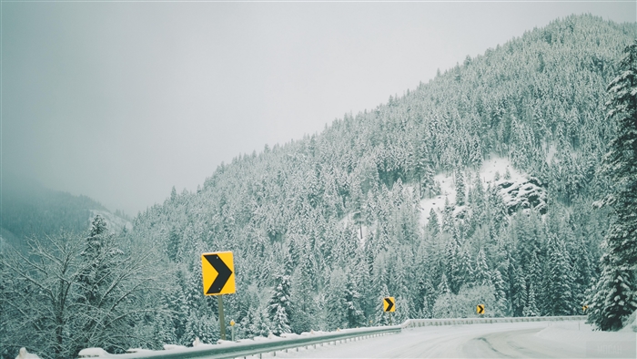 Winter forest road with turn signs 4K