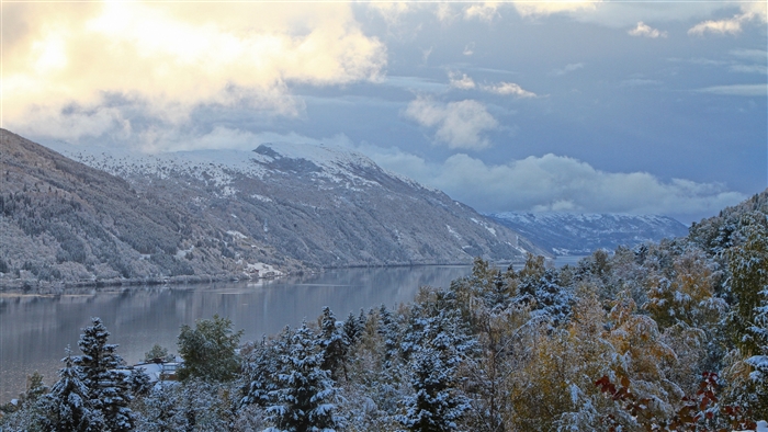 Snow-covered mountains and trees by a lake