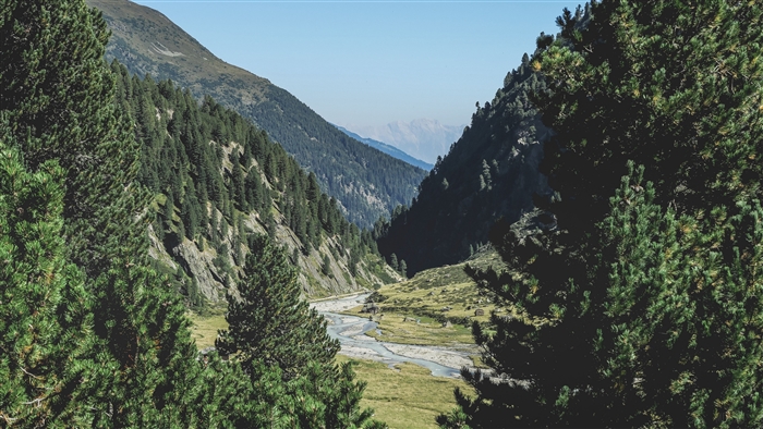 Mountain valley with pine trees and river