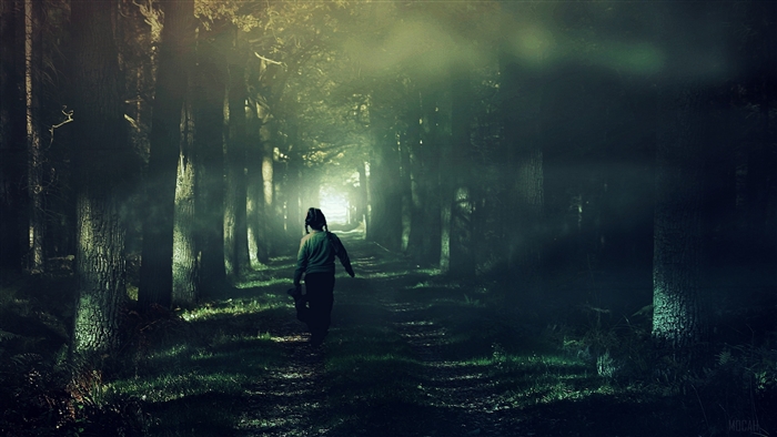 Child walking through a foggy forest 4K