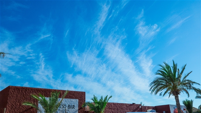 Palm trees against a bright blue sky with wispy clouds
