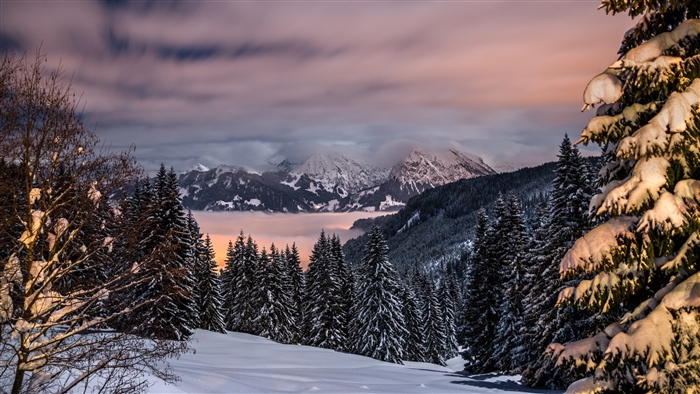 Winter mountains and snow-covered trees in Bavaria, Germany 4K
