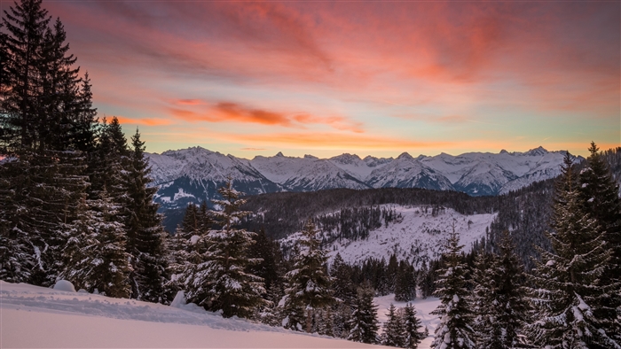 Snowy mountains and fir trees at sunset 4K