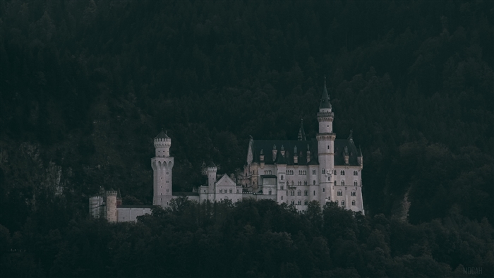 Neuschwanstein Castle in Forested Mountains 4K