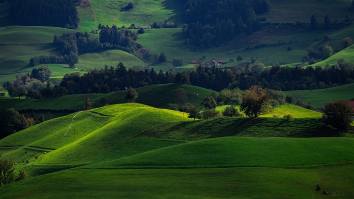 Green valley fields in Hirzel, Switzerland 4K
