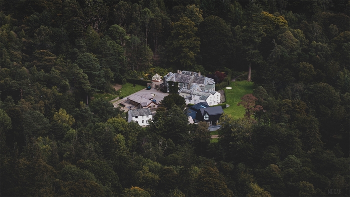 Estate in a forest, view from above