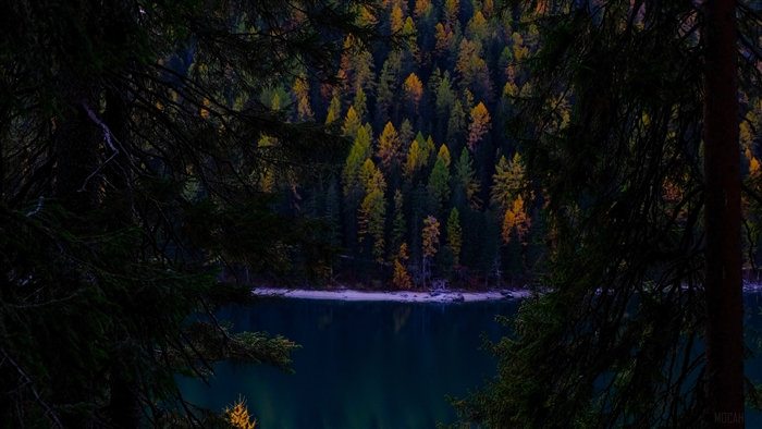 Autumn forest and lake framed by dark branches