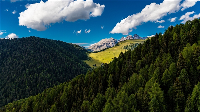 Mountain valley with pine forest and clouds in summer 4K