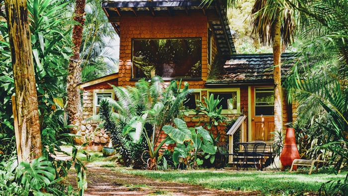 House surrounded by palm trees and plants in sunlight 4K