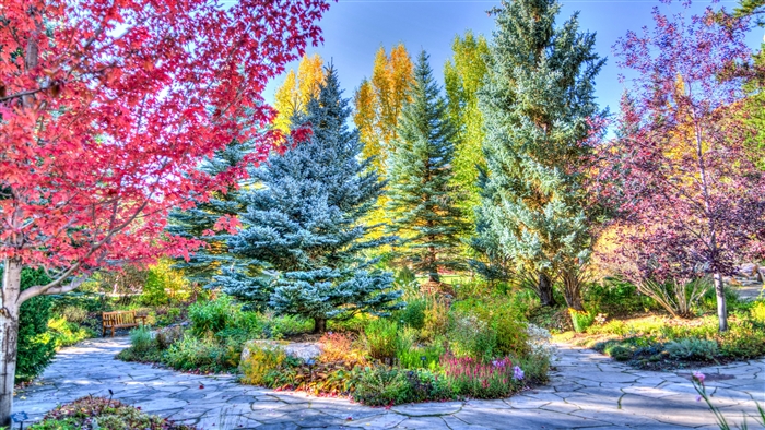 Autumn park in Vejle, Colorado with colorful trees