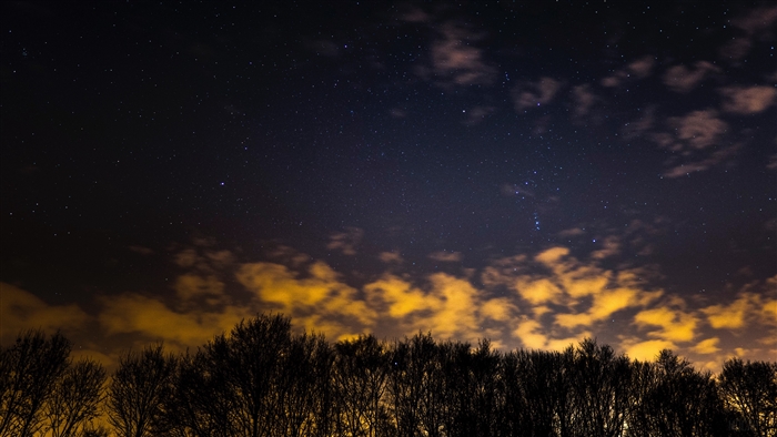 Starry night sky over silhouetted trees and clouds