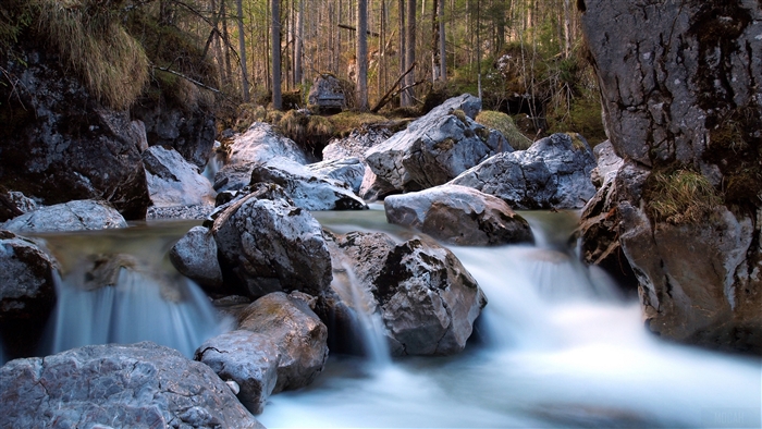 Tranquil River Flowing Through Forest Rocks