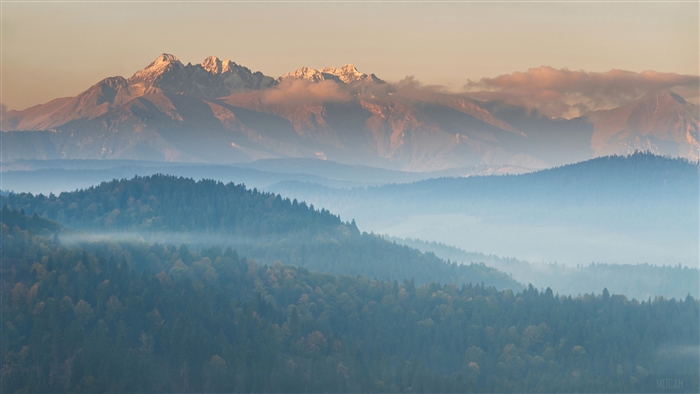 Mountains shrouded in fog with trees below, 4K