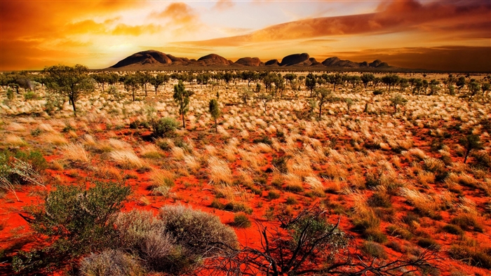 Desert landscape at sunset with mountains