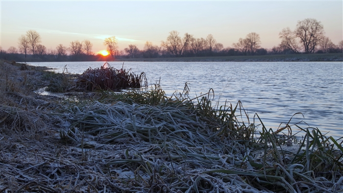Frosty Grass by Lake at Dawn 4K